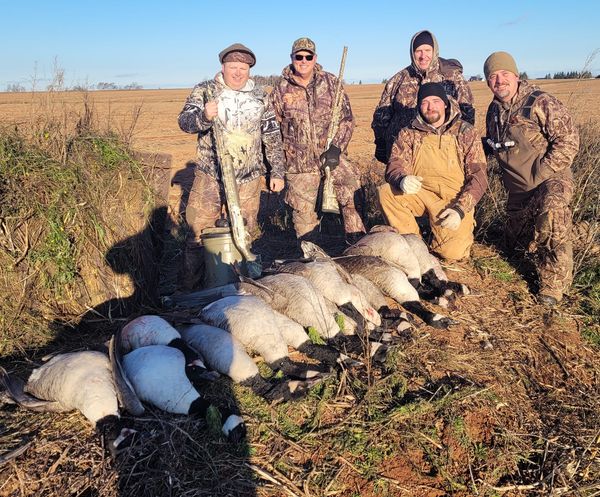 Waterfowl Hunting  Fifield Outfitters